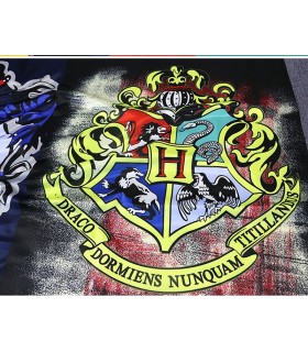 Bandiera Casa Harry Potter