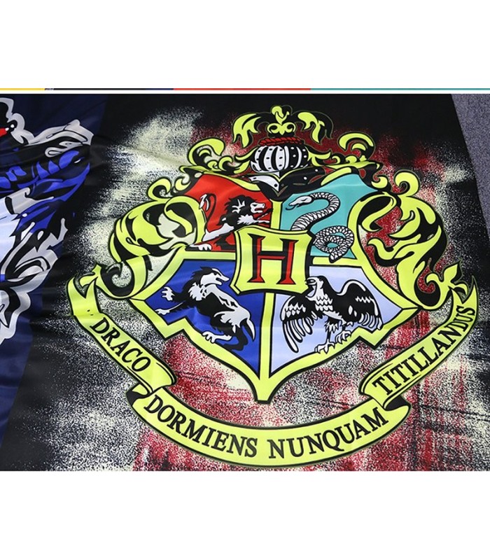 Bandera de Casa Harry Potter