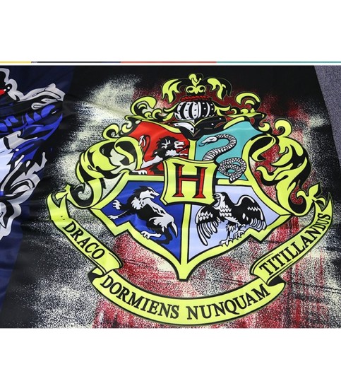 Harry Potter House Flag