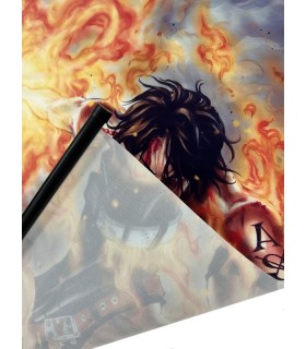 One Piece Poster