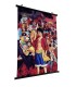 One Piece Poster