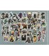 My Hero Academia Stickers