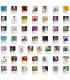 Taylor Swiftie Stickers