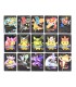 Pokémon Cards
