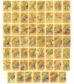Pokémon Cards