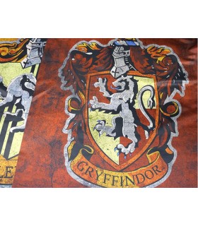 Drapeau de Harry Potter