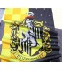 Harry Potter Flag