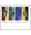 Harry Potter Flag
