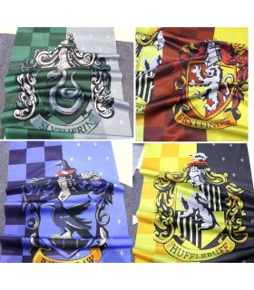 Bandiera di Harry Potter