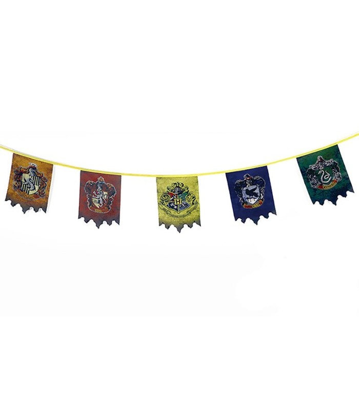 Striscione Harry Potter